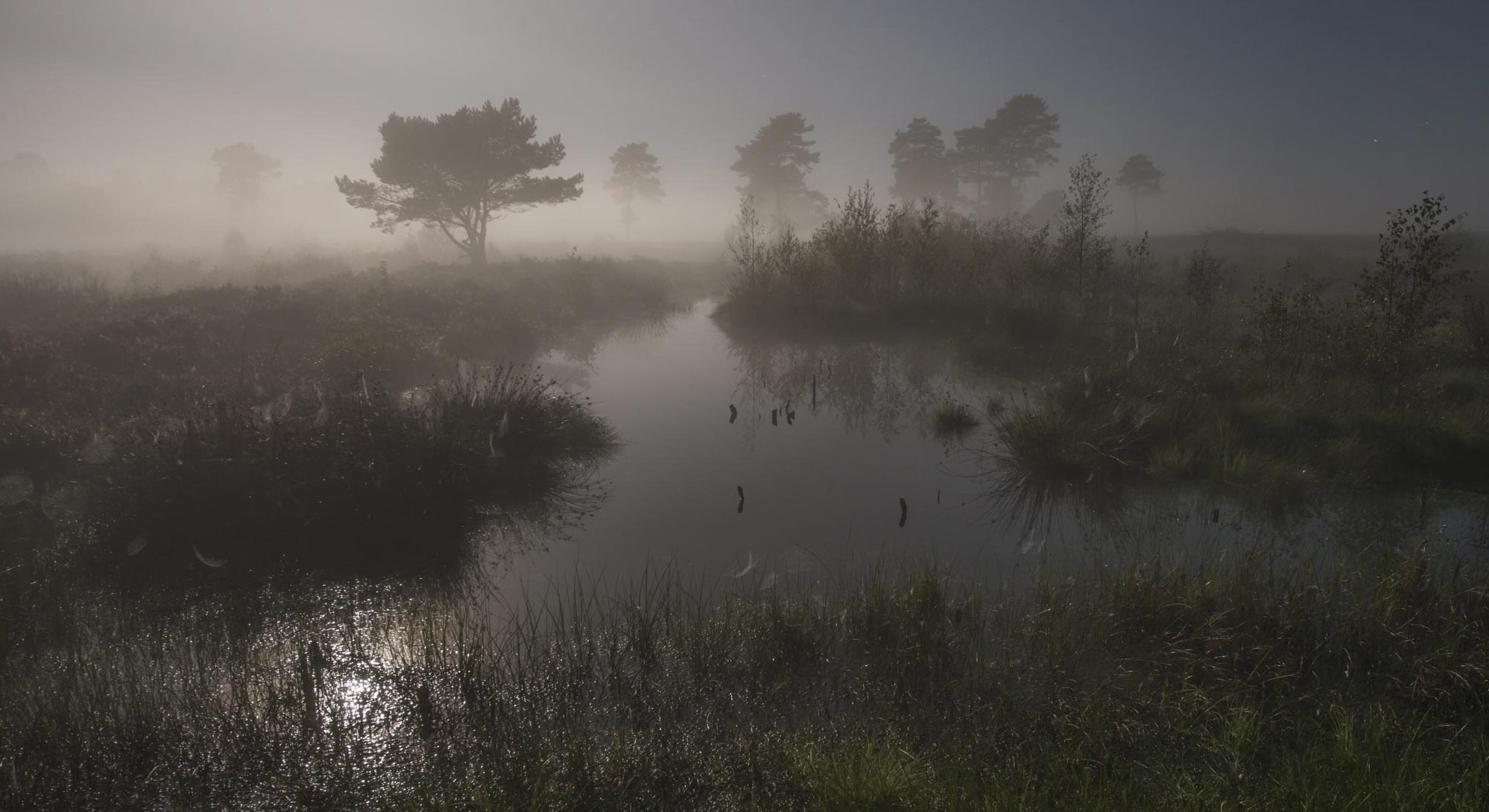 k-venner-moor-foto-karsten-mosebach