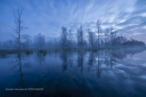 Moornacht, Foto Karsten Mosebach