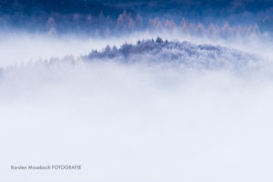 Teutoburger Wald, Landschaftsfotografie Karsten Mosebach