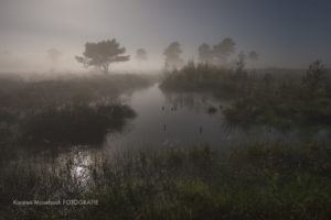 Venner Moor, Naturfotografie Karsten Mosebach