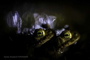 Karsten Mosebach Fotografie